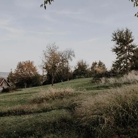 Molnar Appartement Lovaszi